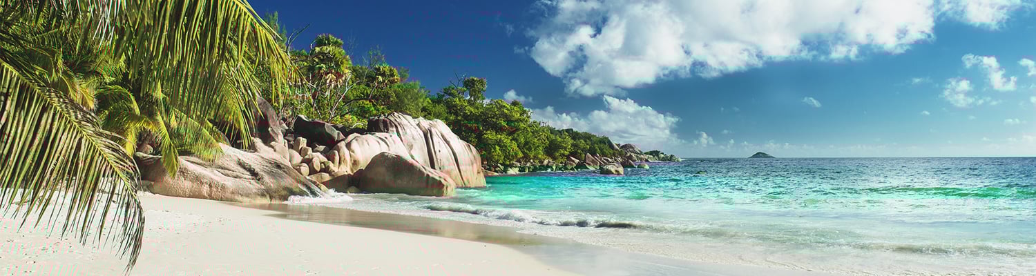 imagine cu plaja exotica cu palmieri