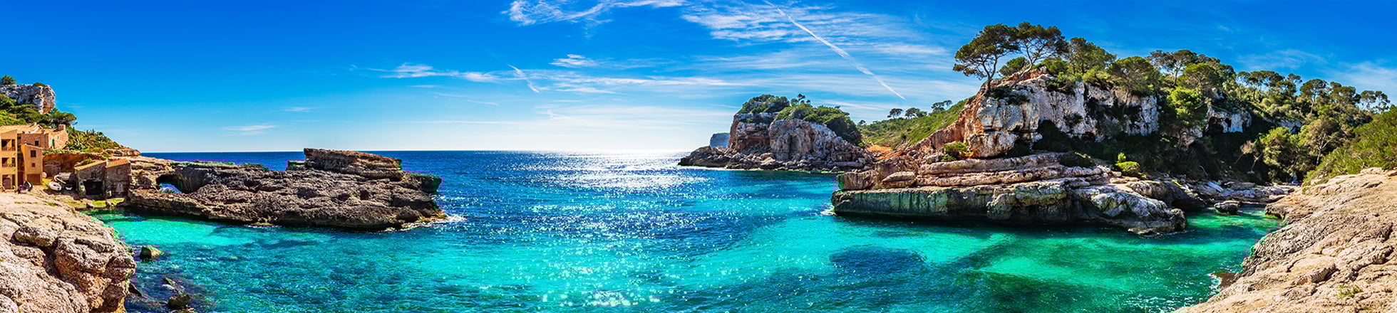 Mondial Assistance asigurare storno calatorie. Plaja cu palmieri.