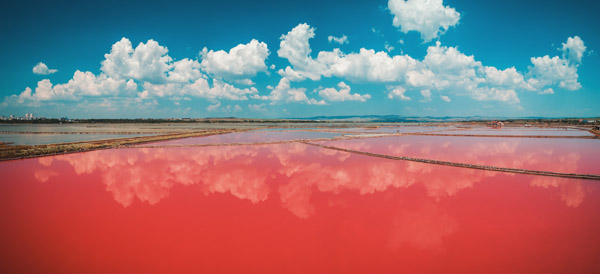 Lacul roz cu apa sarata Atanassov din Bulgaria