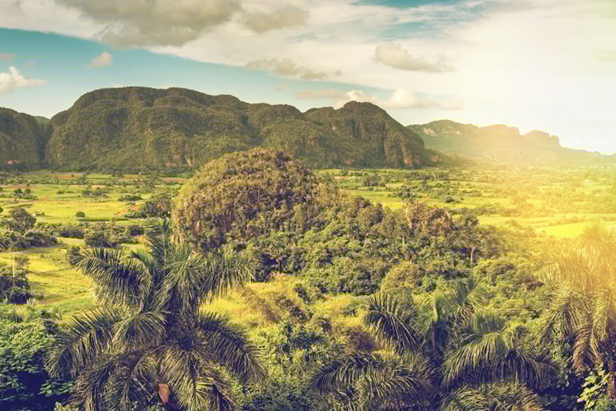 Natura salbatica in Cuba