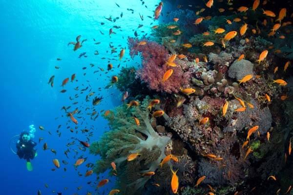 Loc de scufundari in Dahab Egipt