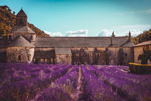 casa romantica intre campurile de lavanda inflorita din Provence Franta