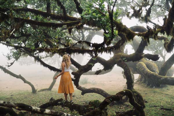 Femeie merge pe jos în pădurea zanelor în Madeira